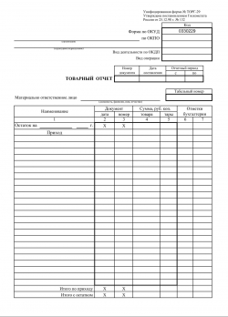 Бланк Товарно-денежный отчет А4 100л форма №058 вертик