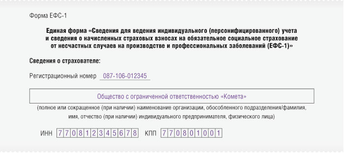 Заполнение титульныого листа формы ЕФС-1