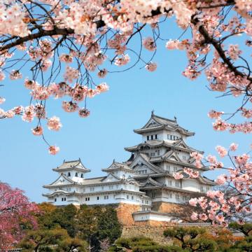 Ежегодное обновление формы РСВ-1 стало почти таким же традиционным явлением, как весеннее цветение сакуры в Японии