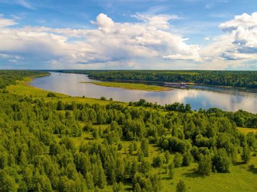 Первый цикл государственной инвентаризации лесов, проведенной Рослесинфоргом, показал, что общая площадь российских лесов составляет 1 187,6 млн га