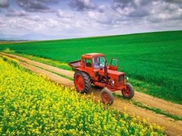 В преддверии летнего сезона — 2023 на портале «Работа России» появилось более 22 тысяч сезонных вакансий. Работа на лето предлагается в том числе трактористам