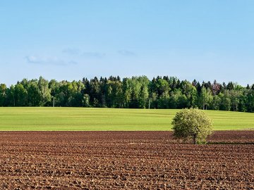 Если в безвозмездное пользование на долгий срок передается земля, то договор нужно регистрировать в Росреестре