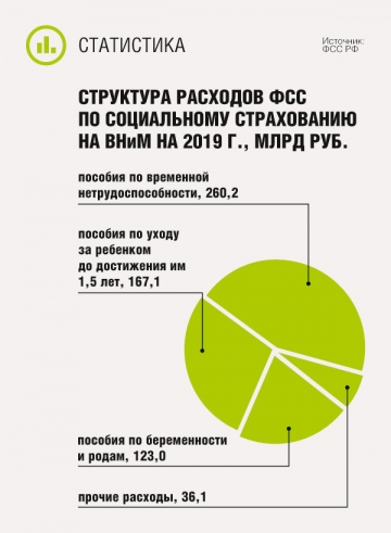 Структура расходов ФСС по социальному страхованию на ВНиМ на 2019 г.