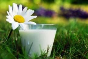 Новости: Стоимость бесплатного молока для «безвредных» работников облагается НДФЛ и взносами