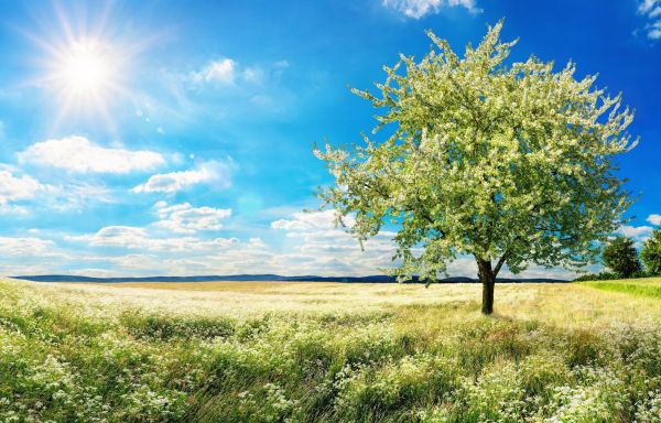 Новости: Прочие события за 25-29 августа