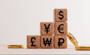 Новости: Где брать курсы валют, которые не устанавливает ЦБ РФ