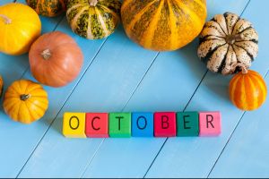 Новости: Что нужно сделать бухгалтеру с 16 по 20 октября