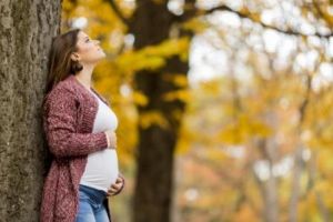 Новости: Единовременное пособие по беременности: как получить, если работодатель-банкрот
