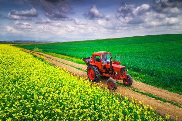 Новости: Планируется ввести новое основание для досрочной пенсии