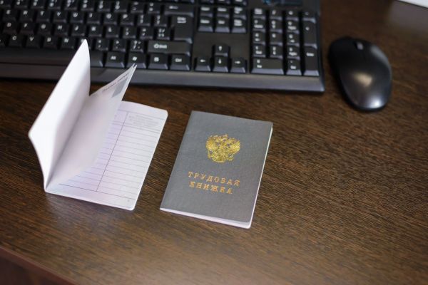 Новости: Какую запись сделать в трудовой книжке при реорганизации в форме присоединения