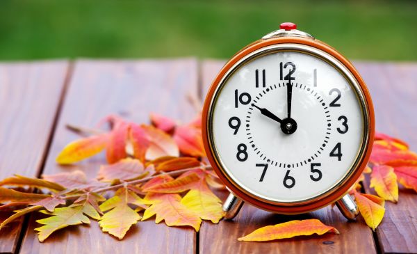 Новости: Не забудьте уплатить «несчастные» взносы