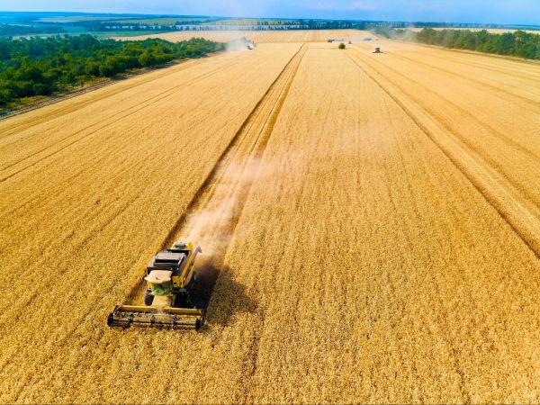 Новости: Уточнены условия сохранения статуса сельхозпроизводителя