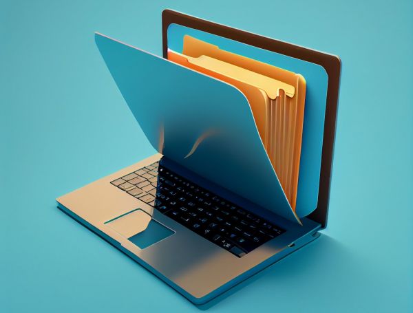 Новости: Пояснения к НДС-декларации на бумаге не считаются