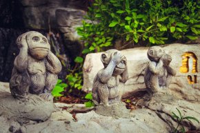 Новости: Стоит ли ждать новых туристических ограничений из-за обезьяньей оспы