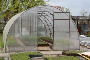 Новости: Регистрировать теплицу или нет – решает сам садовод