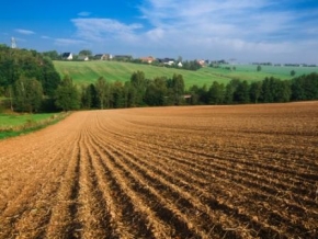 Новости: Пока не установят, что сельхоз земля не используется по назначению, применяйте льготную ставку